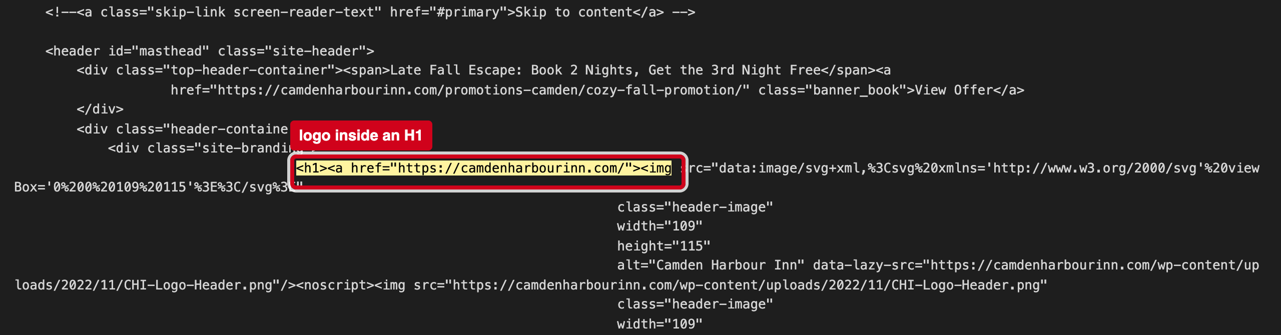 Screenshot: Three H1 headings, one of them the logo