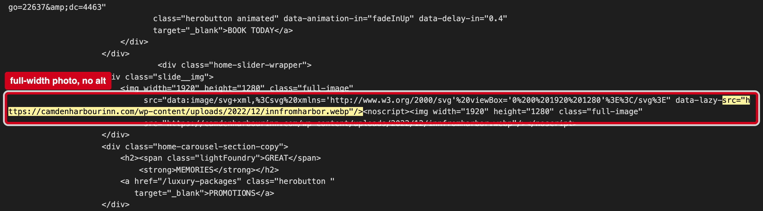 Screenshot: 12 images have no alt text